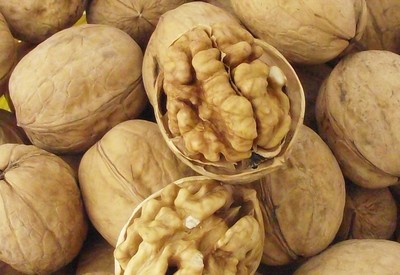 許昌價格合理的薄皮核桃供應(yīng)信息及廠家介紹